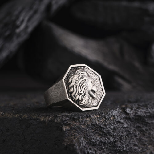 Sekizgen 3 Boyutlu Aslan Modeli