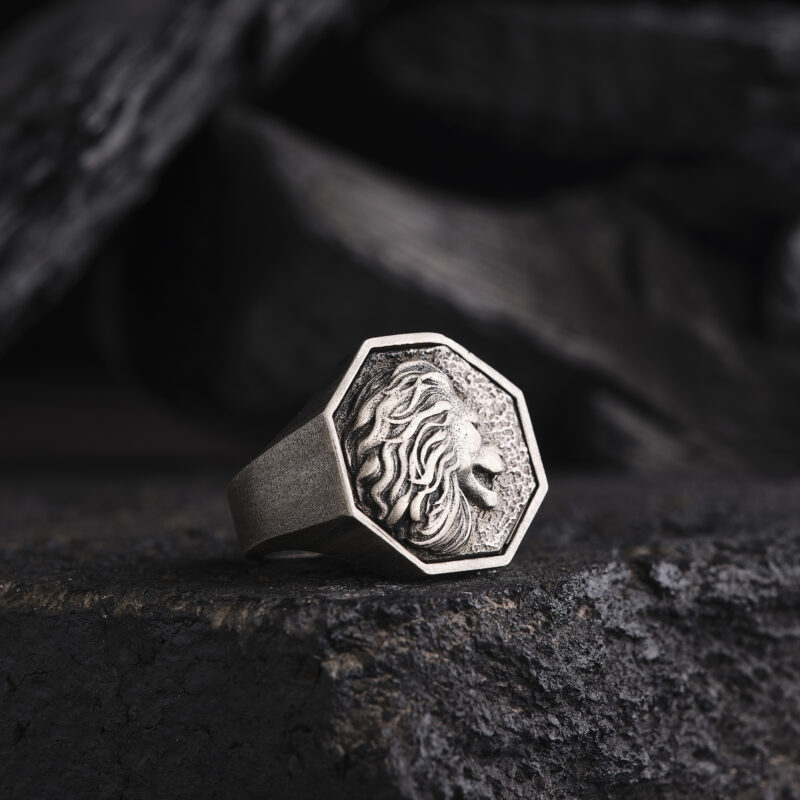 Sekizgen 3 Boyutlu Aslan Modeli