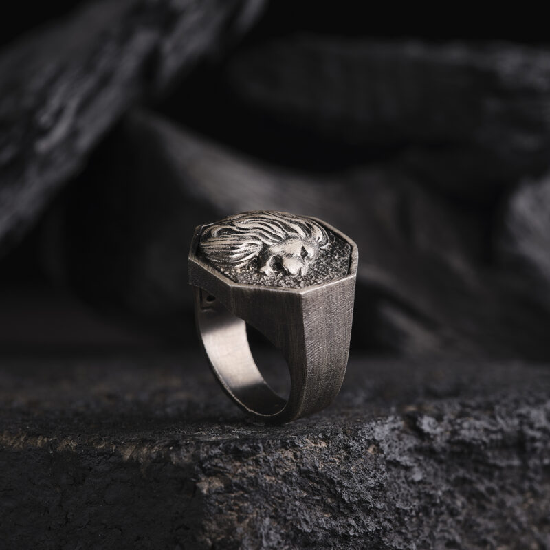 Sekizgen 3 Boyutlu Aslan Modeli