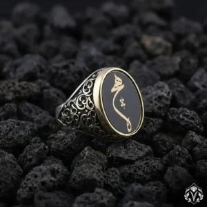 Destan Siyah Taşlı Hiç Gümüş Yüzük