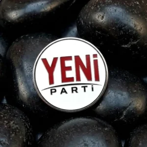 1 Gümüş Parti Yaka Rozeti